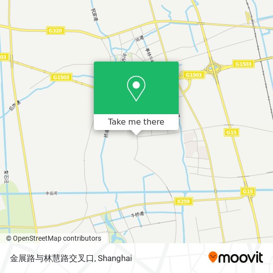 金展路与林慧路交叉口 map