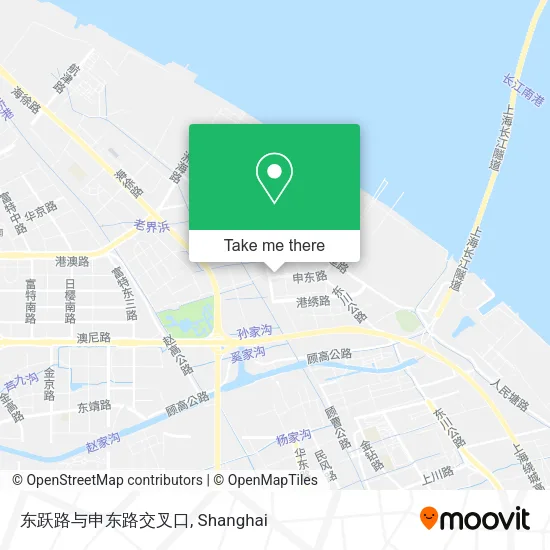 东跃路与申东路交叉口 map