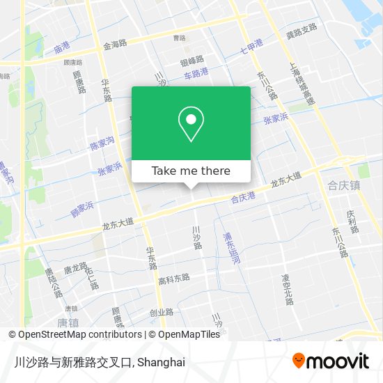 川沙路与新雅路交叉口 map