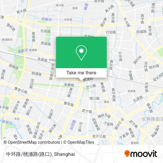 中环路/桃浦路(路口) map
