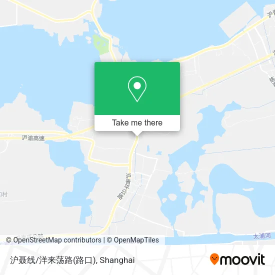 沪聂线/洋来荡路(路口) map