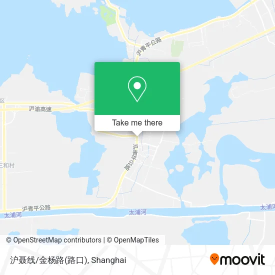 沪聂线/金杨路(路口) map