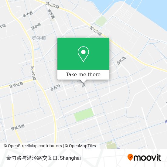 金勺路与潘泾路交叉口 map