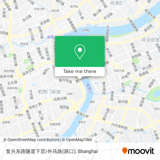复兴东路隧道下层/外马路(路口) map