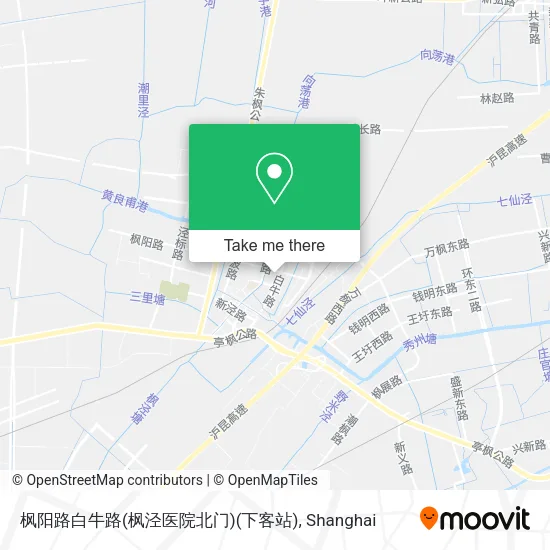 枫阳路白牛路(枫泾医院北门)(下客站) map