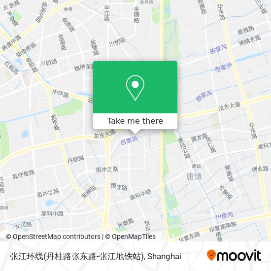 张江环线(丹桂路张东路-张江地铁站) map
