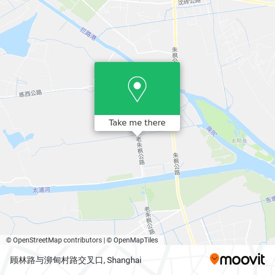 顾林路与泖甸村路交叉口 map