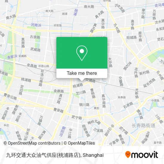 九环交通大众油气供应(桃浦路店) map