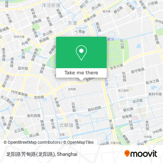 龙阳路芳甸路 map