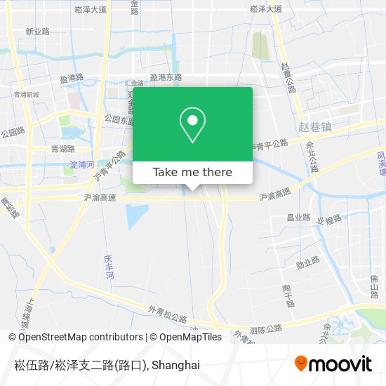 崧伍路/崧泽支二路(路口) map