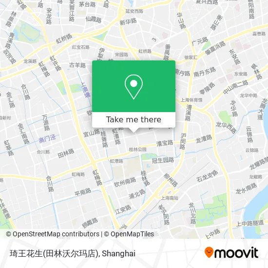 琦王花生(田林沃尔玛店) map