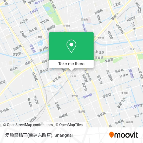爱鸭黑鸭王(莘建东路店) map