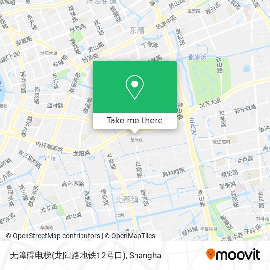 无障碍电梯(龙阳路地铁12号口) map