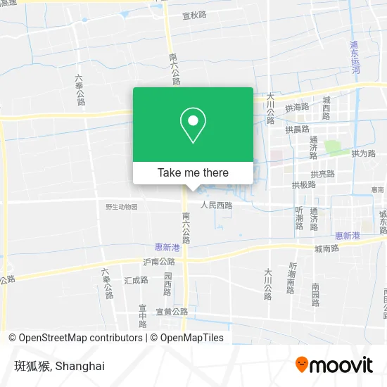 斑狐猴 map