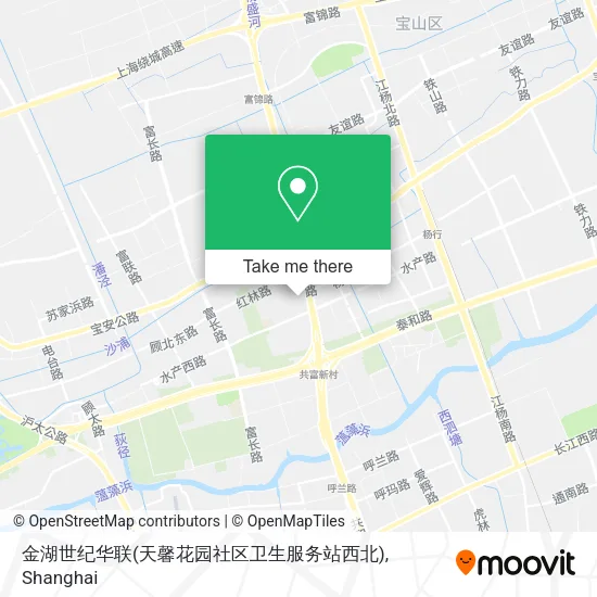 金湖世纪华联(天馨花园社区卫生服务站西北) map