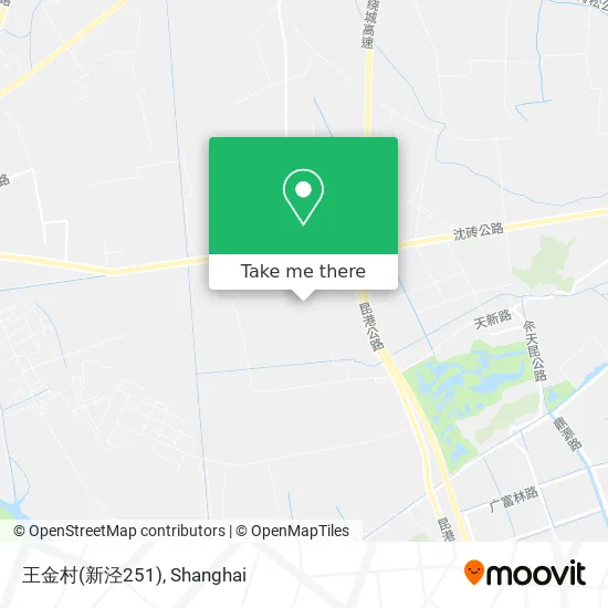 王金村(新泾251) map