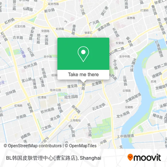 BL韩国皮肤管理中心(漕宝路店) map