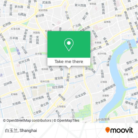 白玉兰 map