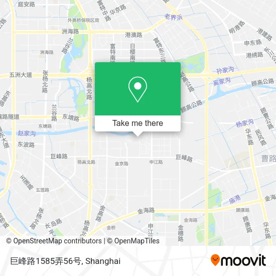 巨峰路1585弄56号 map