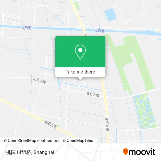桃园14组桥 map