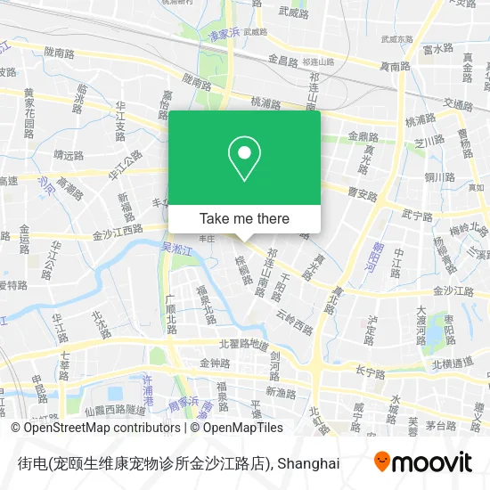 街电(宠颐生维康宠物诊所金沙江路店) map