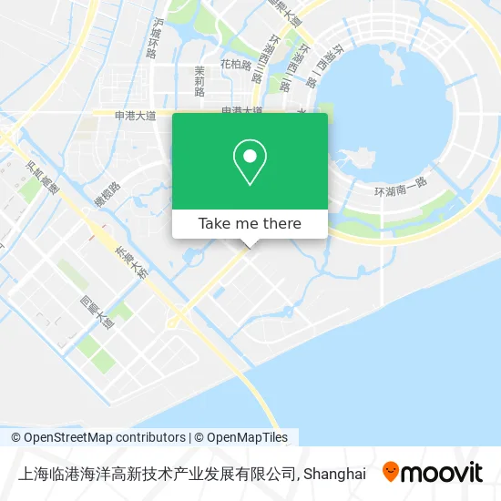 上海临港海洋高新技术产业发展有限公司 map