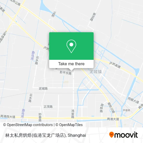 林太私房烘焙(临港宝龙广场店) map