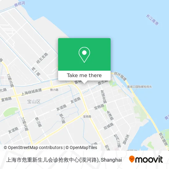 上海市危重新生儿会诊抢救中心(漠河路) map