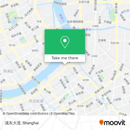 浦东大道 map