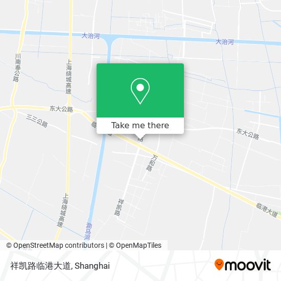 祥凯路临港大道 map