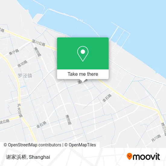 谢家浜桥 map