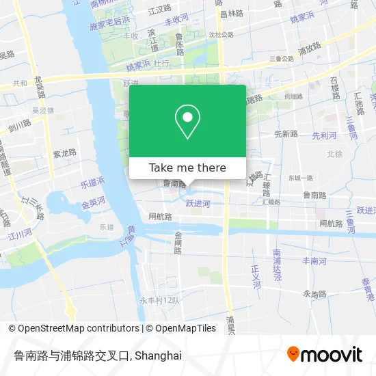 鲁南路与浦锦路交叉口 map