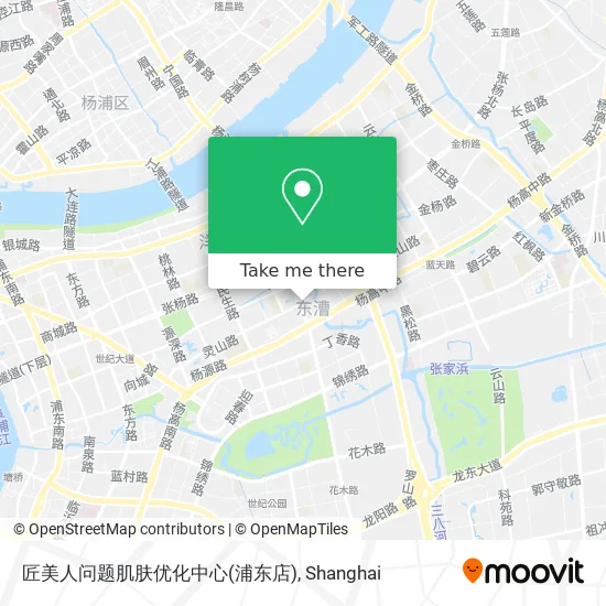 匠美人问题肌肤优化中心(浦东店) map