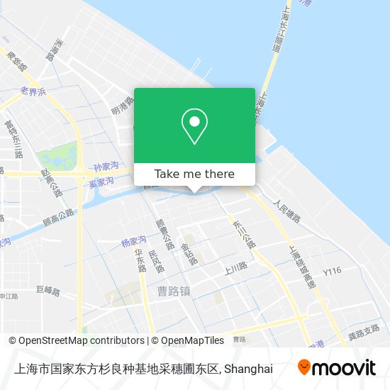 上海市国家东方杉良种基地采穗圃东区 map