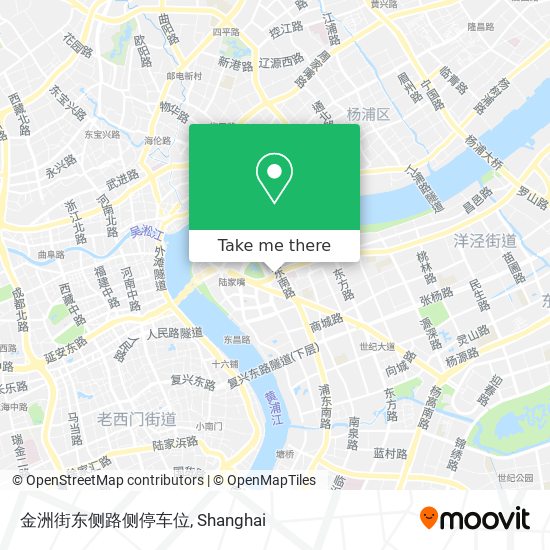 金洲街东侧路侧停车位 map