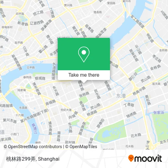 桃林路299弄 map
