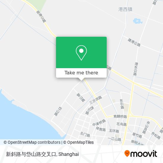 新斜路与岱山路交叉口 map