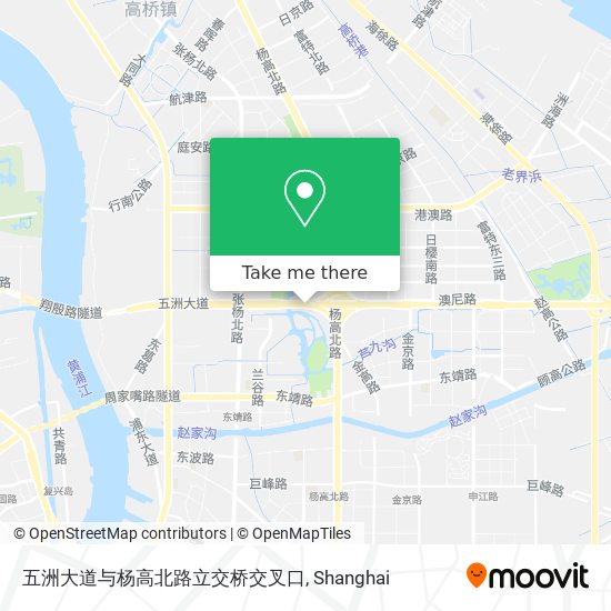 五洲大道与杨高北路立交桥交叉口 map
