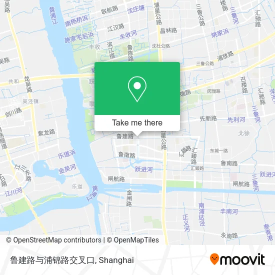 鲁建路与浦锦路交叉口 map