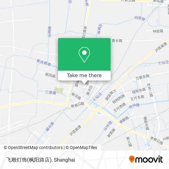 飞雕灯饰(枫阳路店) map