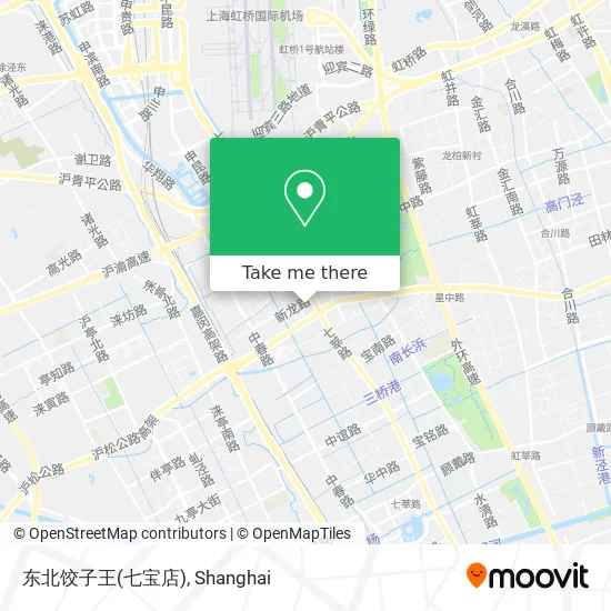 东北饺子王(七宝店) map