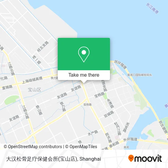 大汉松骨足疗保健会所(宝山店) map