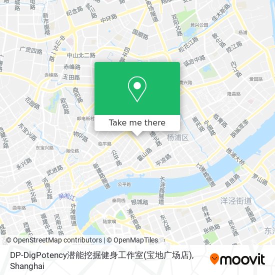 DP-DigPotency潜能挖掘健身工作室(宝地广场店) map