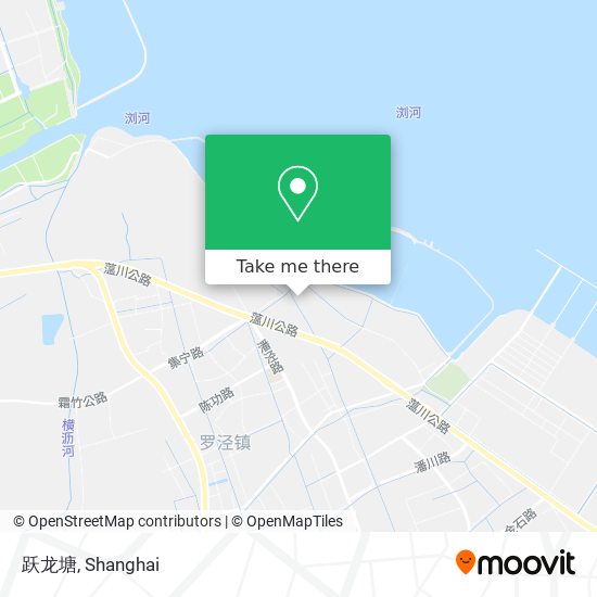 跃龙塘 map