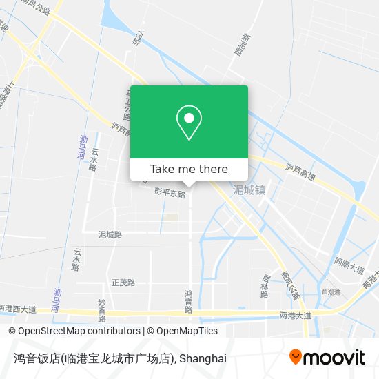 鸿音饭店(临港宝龙城市广场店) map