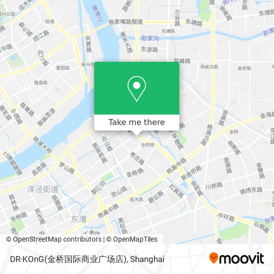 DR·KOnG(金桥国际商业广场店) map