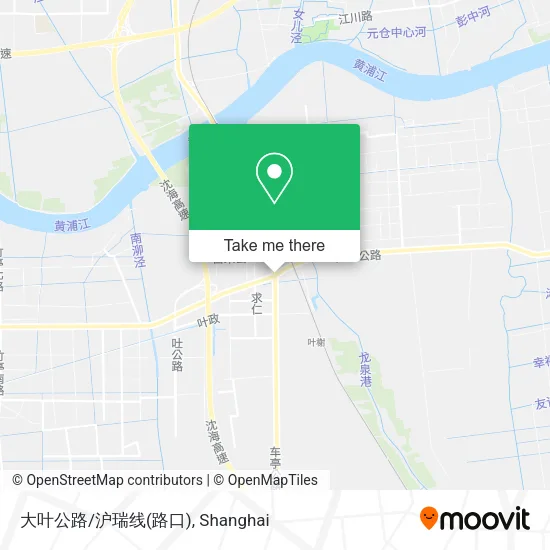 大叶公路/沪瑞线(路口) map