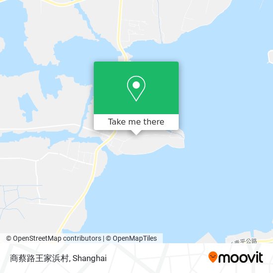 商蔡路王家浜村 map