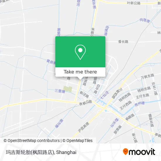 玛吉斯轮胎(枫阳路店) map