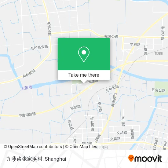 九溇路张家浜村 map